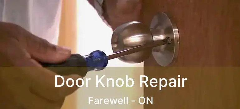  Door Knob Repair Farewell - ON