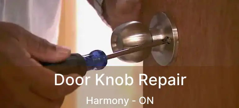  Door Knob Repair Harmony - ON