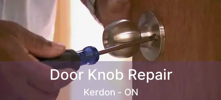  Door Knob Repair Kerdon - ON