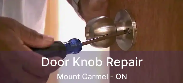  Door Knob Repair Mount Carmel - ON