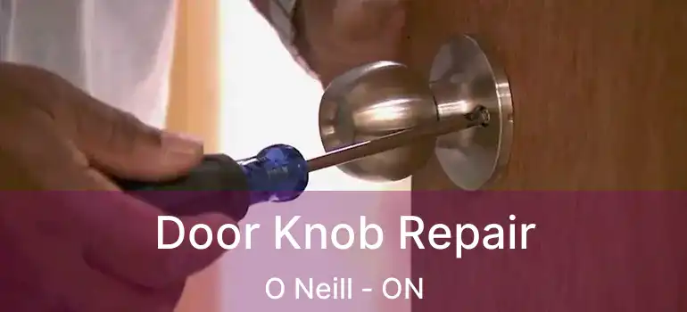  Door Knob Repair O Neill - ON