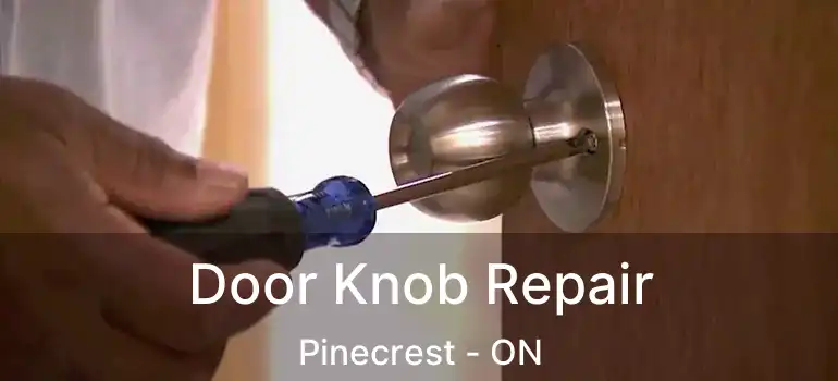  Door Knob Repair Pinecrest - ON