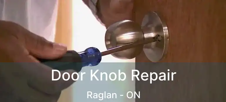  Door Knob Repair Raglan - ON