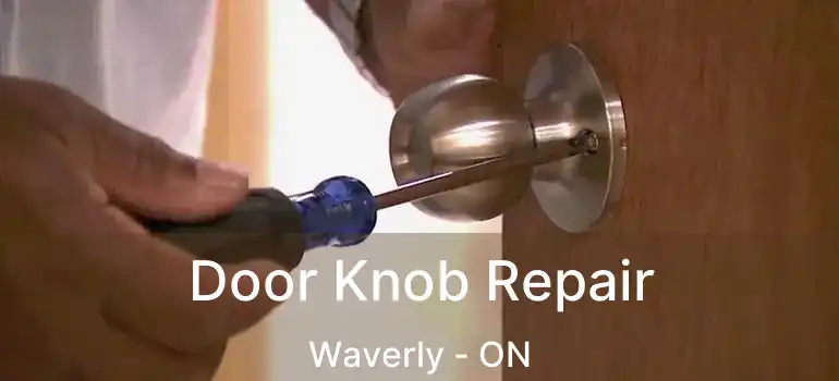  Door Knob Repair Waverly - ON