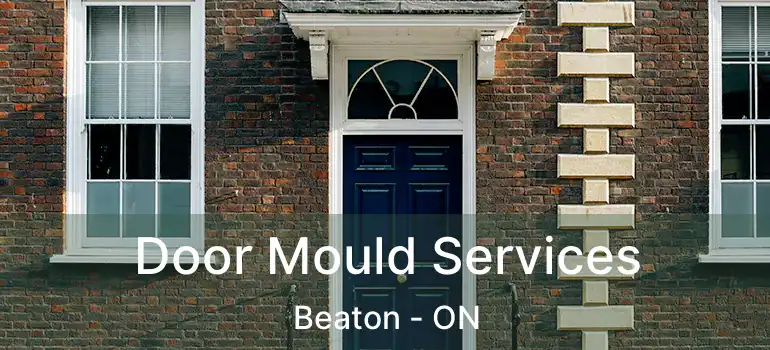  Door Mould Services Beaton - ON