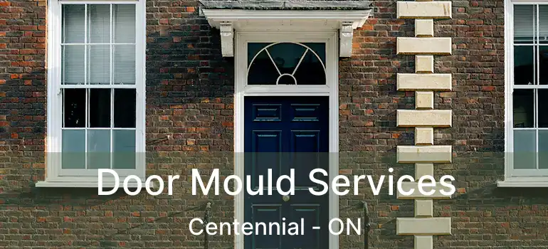  Door Mould Services Centennial - ON