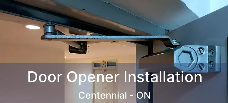  Door Opener Installation Centennial - ON