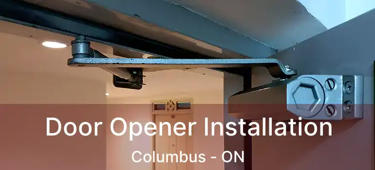  Door Opener Installation Columbus - ON