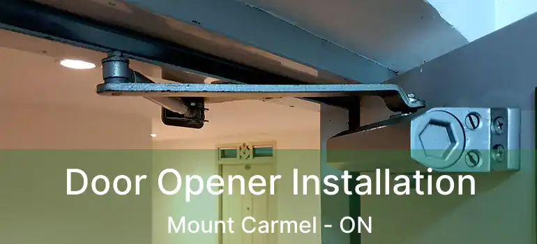  Door Opener Installation Mount Carmel - ON