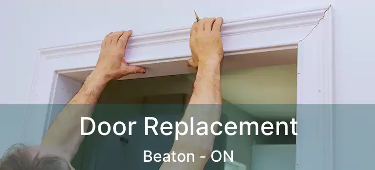  Door Replacement Beaton - ON