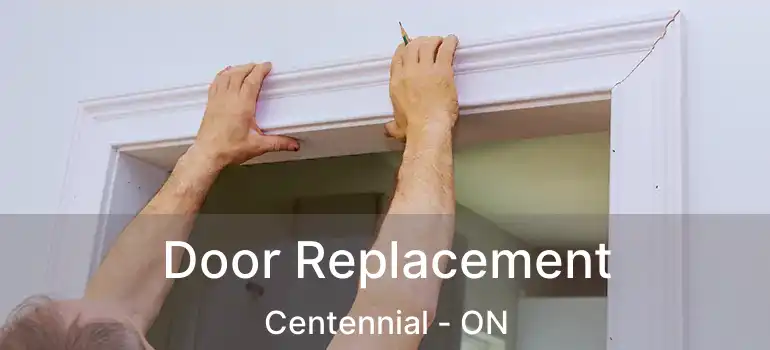  Door Replacement Centennial - ON