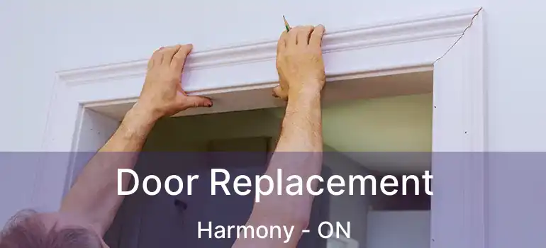  Door Replacement Harmony - ON