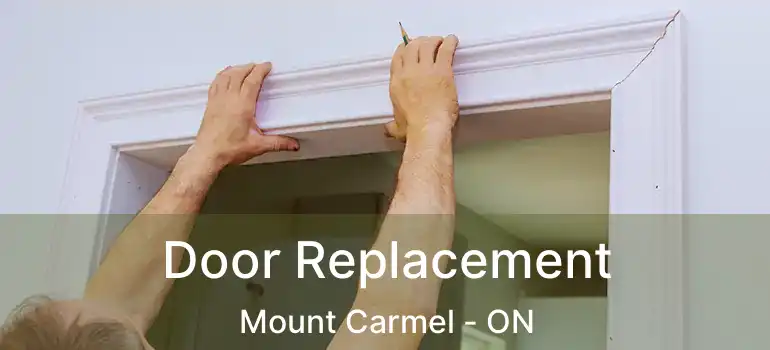  Door Replacement Mount Carmel - ON