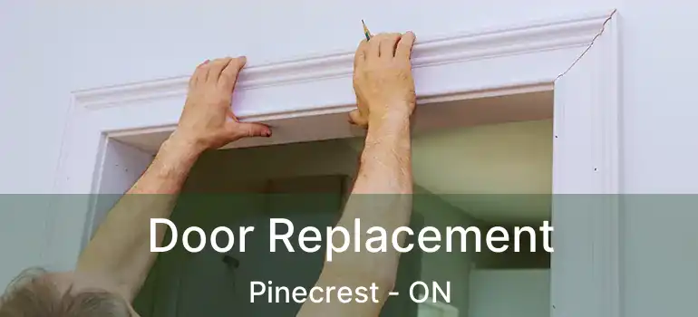  Door Replacement Pinecrest - ON