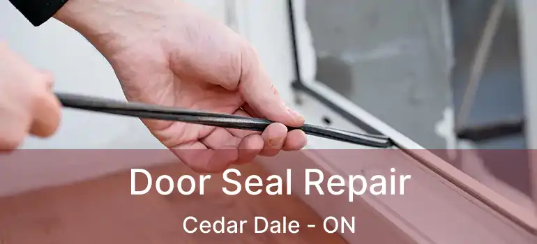  Door Seal Repair Cedar Dale - ON