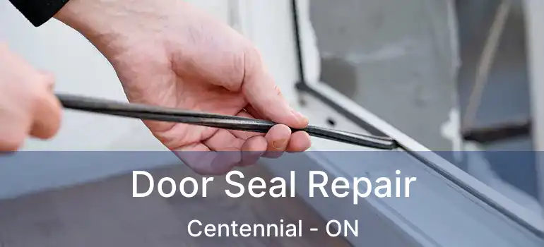  Door Seal Repair Centennial - ON