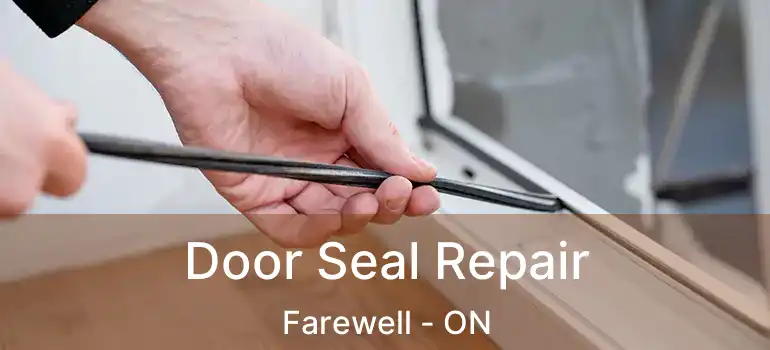  Door Seal Repair Farewell - ON