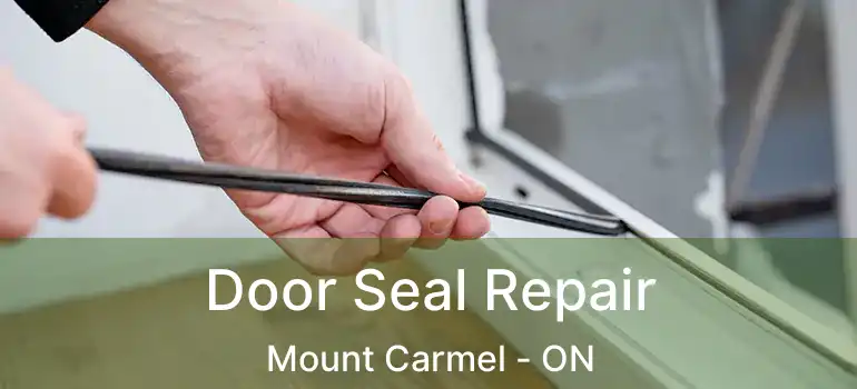  Door Seal Repair Mount Carmel - ON