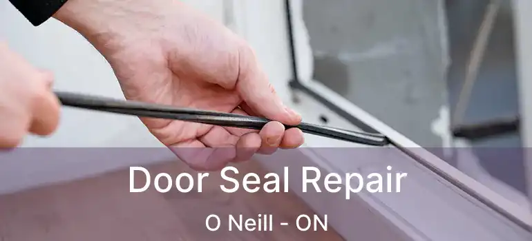  Door Seal Repair O Neill - ON