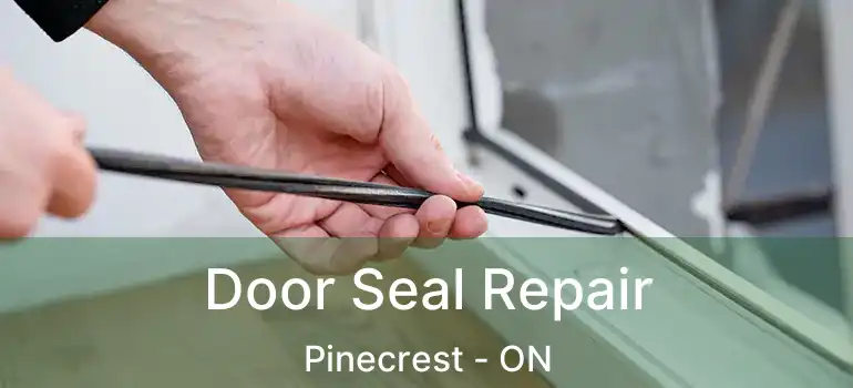  Door Seal Repair Pinecrest - ON