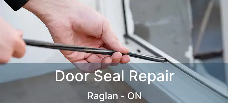  Door Seal Repair Raglan - ON