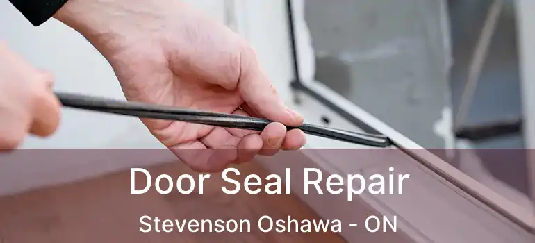  Door Seal Repair Stevenson Oshawa - ON