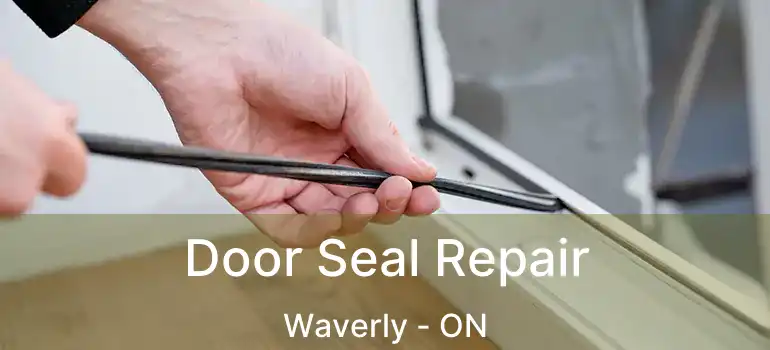  Door Seal Repair Waverly - ON