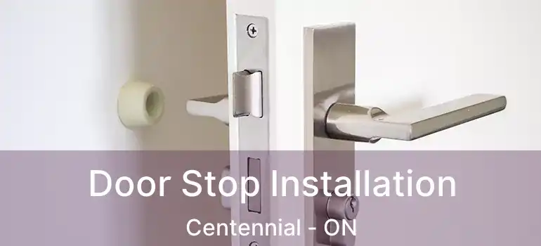  Door Stop Installation Centennial - ON