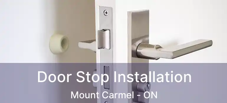  Door Stop Installation Mount Carmel - ON