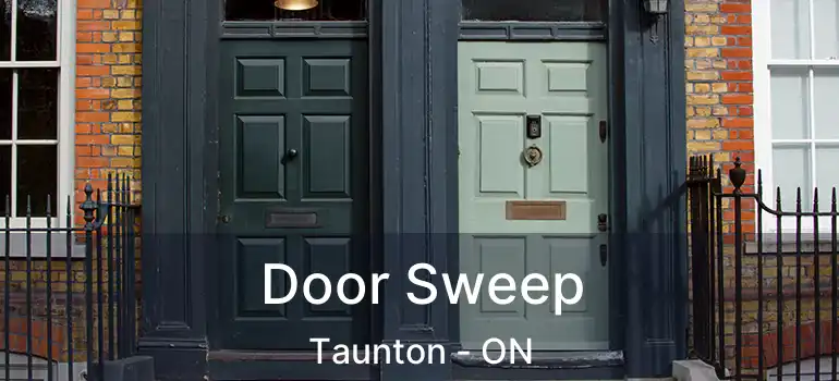  Door Sweep Taunton - ON