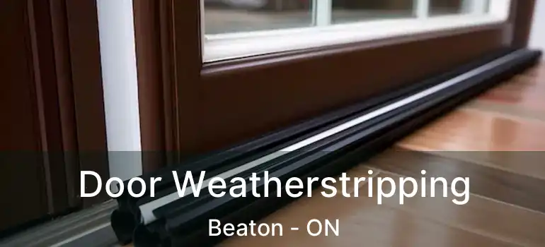  Door Weatherstripping Beaton - ON