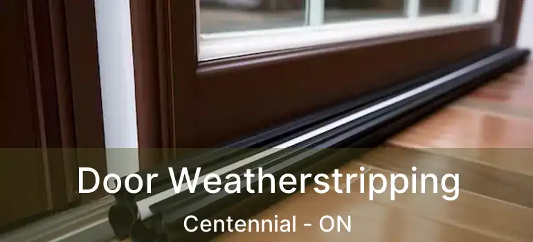  Door Weatherstripping Centennial - ON