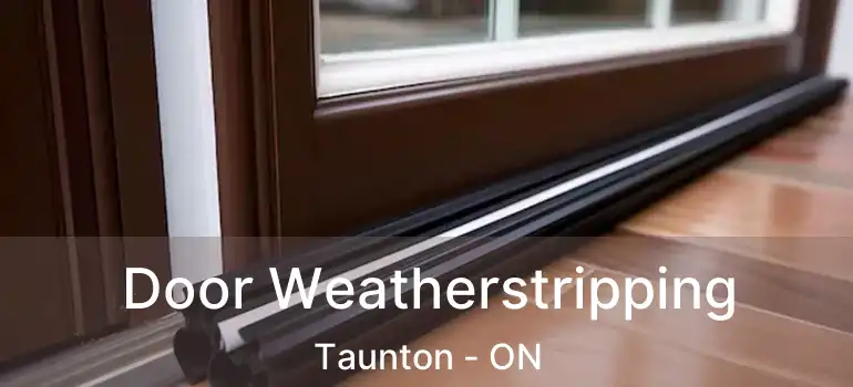  Door Weatherstripping Taunton - ON