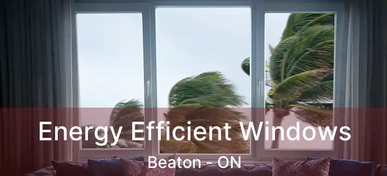  Energy Efficient Windows Beaton - ON