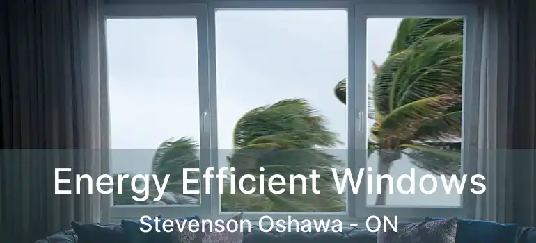  Energy Efficient Windows Stevenson Oshawa - ON