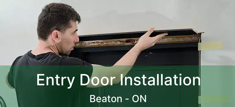  Entry Door Installation Beaton - ON