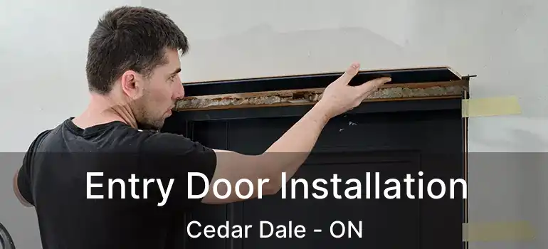  Entry Door Installation Cedar Dale - ON