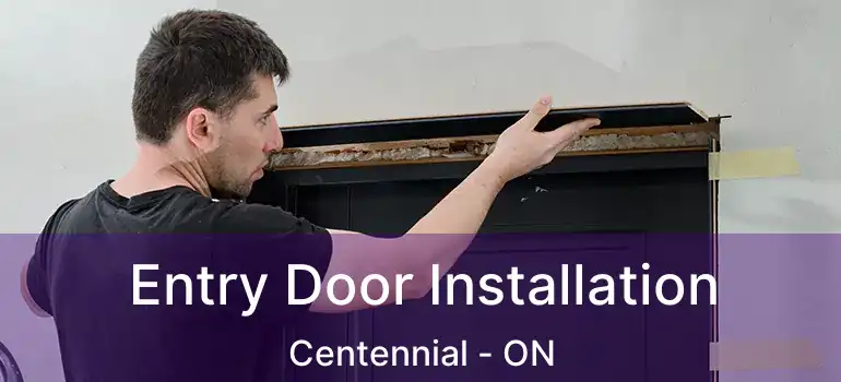  Entry Door Installation Centennial - ON