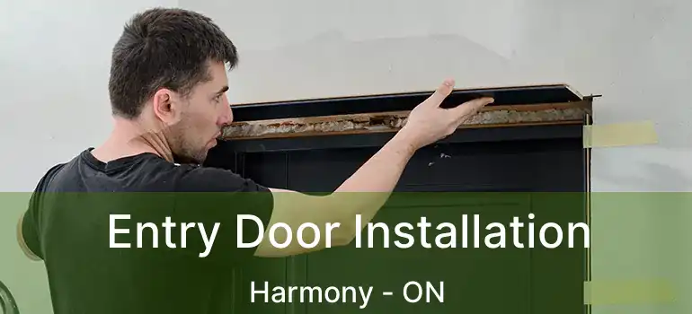  Entry Door Installation Harmony - ON