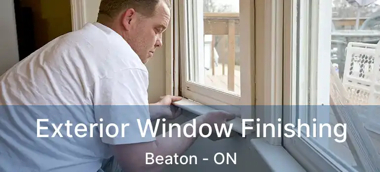  Exterior Window Finishing Beaton - ON