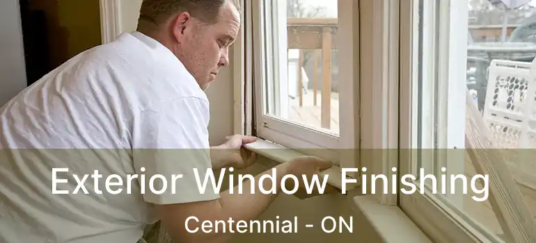  Exterior Window Finishing Centennial - ON