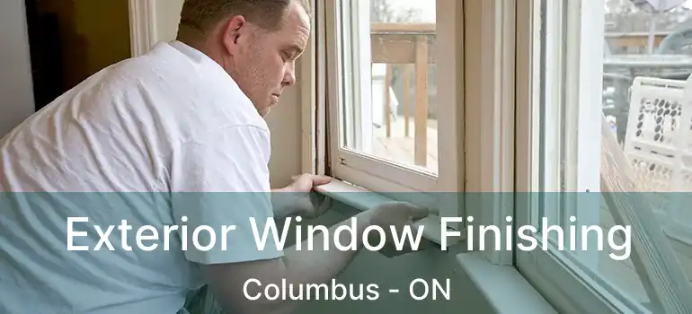  Exterior Window Finishing Columbus - ON