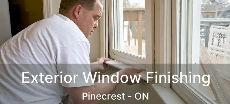  Exterior Window Finishing Pinecrest - ON