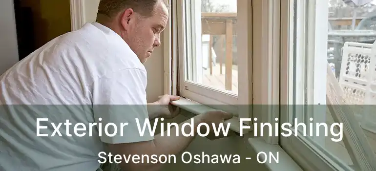  Exterior Window Finishing Stevenson Oshawa - ON