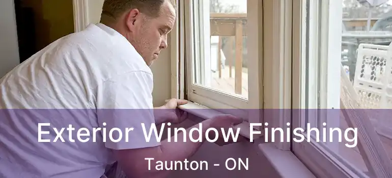  Exterior Window Finishing Taunton - ON