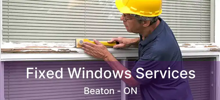  Fixed Windows Services Beaton - ON