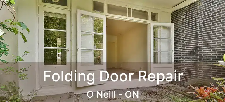  Folding Door Repair O Neill - ON