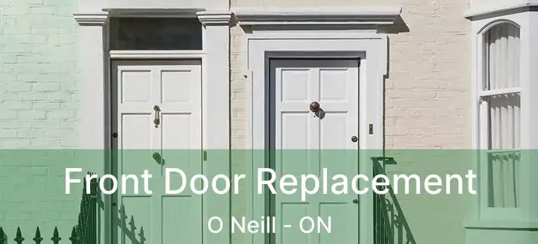  Front Door Replacement O Neill - ON