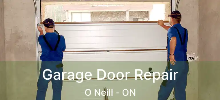  Garage Door Repair O Neill - ON