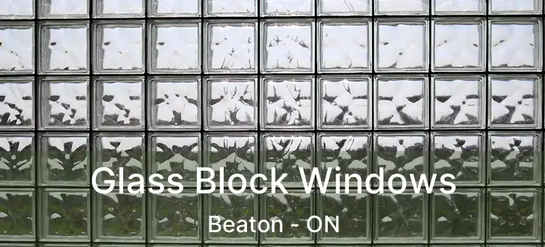  Glass Block Windows Beaton - ON